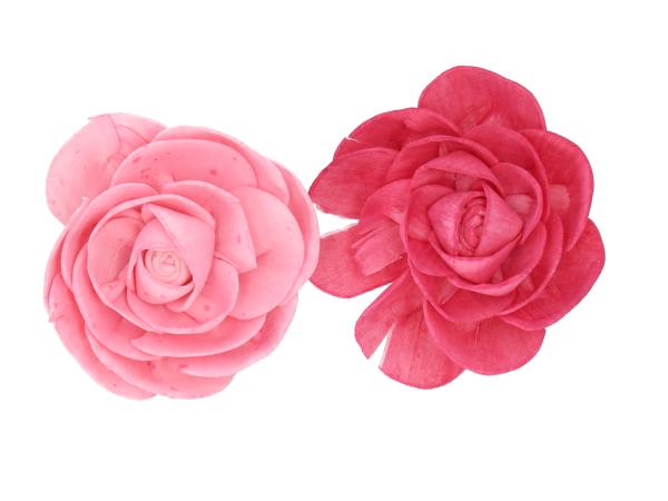 Camelia Solablüte am Draht 2 Fb sort D8 Draht L20cm