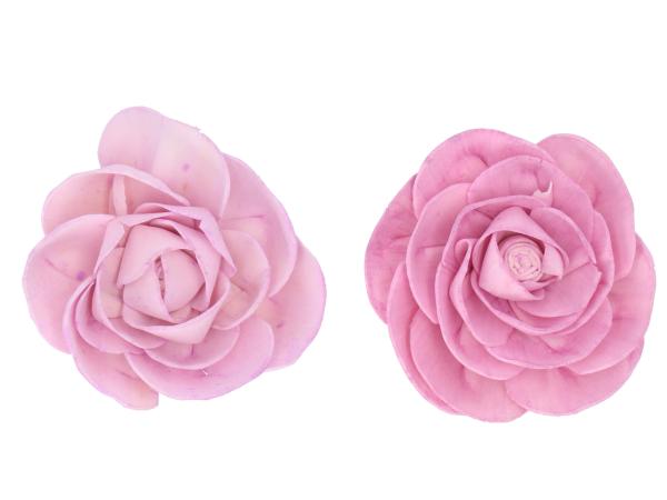 Camelia Solablüte am Draht 2 Fb sort D8 Draht L20cm