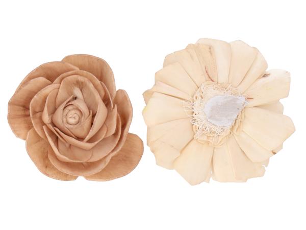 Camelia Solablüte am Draht 2 Fb sort D8 Draht L20cm