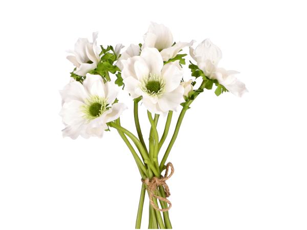 Bund Anemonen x10 L30cm