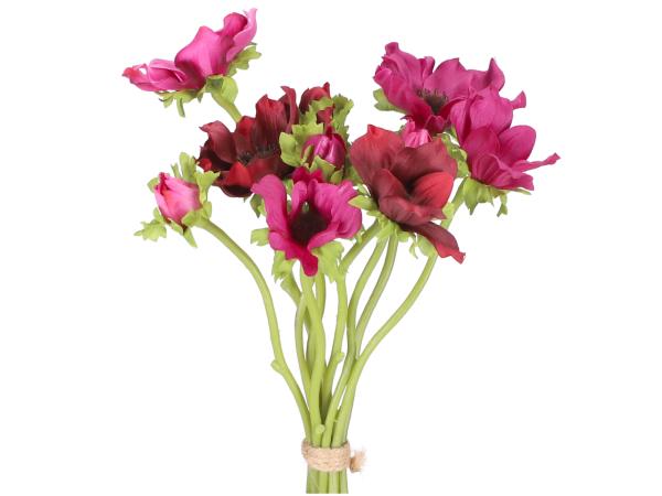 Bund Anemonen x10 L30cm