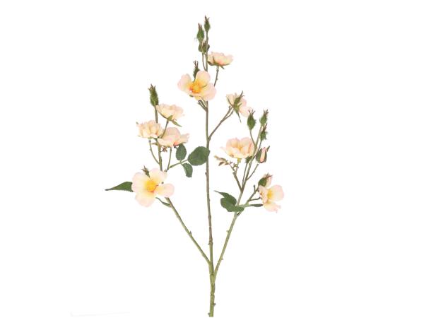 Zweig Wildrose L68cm