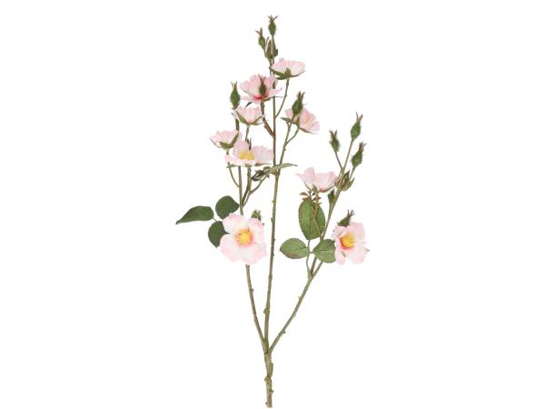 Zweig Wildrose L68cm