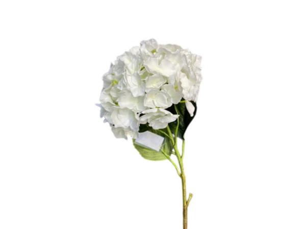 Hortensie x1 L108cm