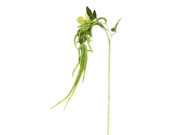 Amaranthus x2 L158cm