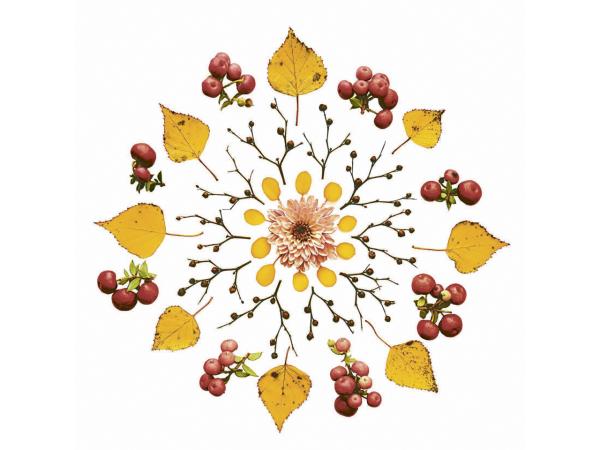 Servietten 33x33cm 20St.  33x33cm