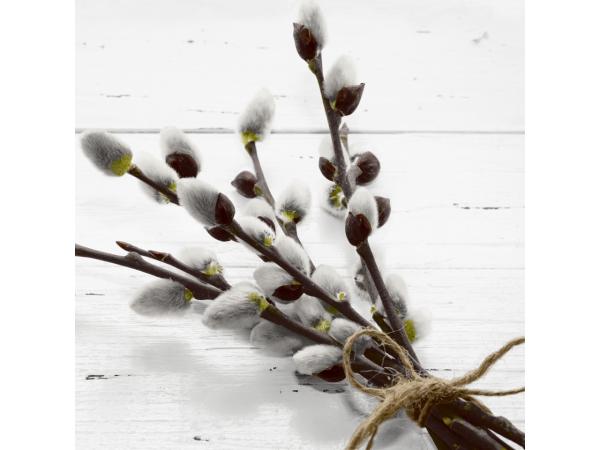 Servietten Ostern  33x33cm 20St 33x33cm