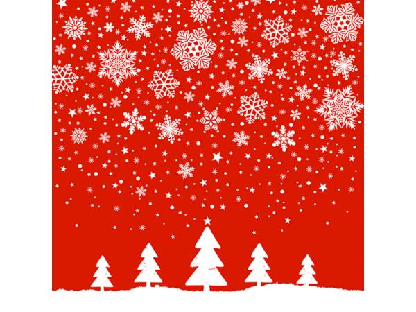 Servietten Xmas 33x33cm 20St
!! Aktionsartikel- Kein Umtausch / Rückgabe möglich !! 33x33cm