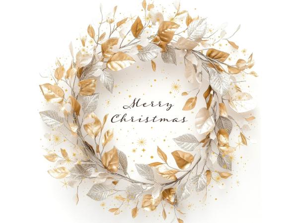 Servietten Xmas 33x33cm 20St 33x33cm