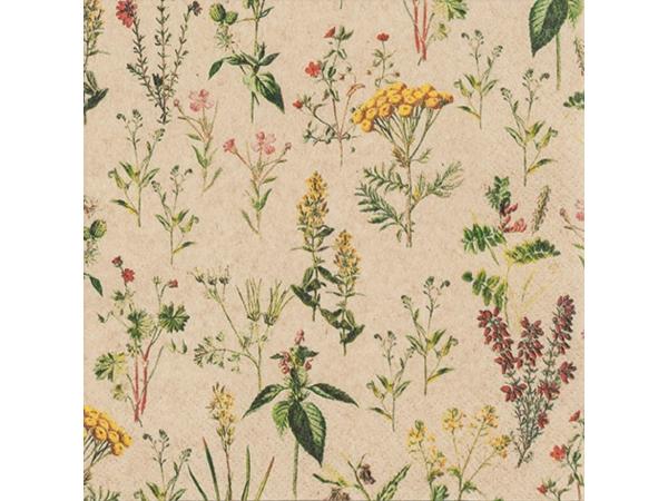 Servietten eco 33x33cm 20St. 33x33cm