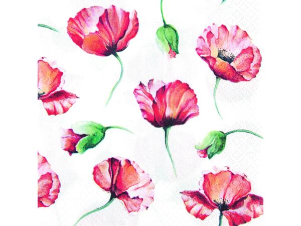 Servietten 33x33cm 20St. 33x33cm