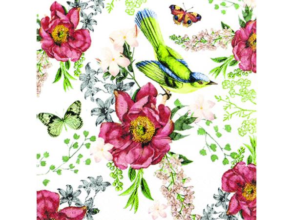 Servietten 33x33cm 20St. 33x33cm