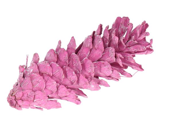 Zapfen Strobus 15-20cm brombeer washed
 15-20cm