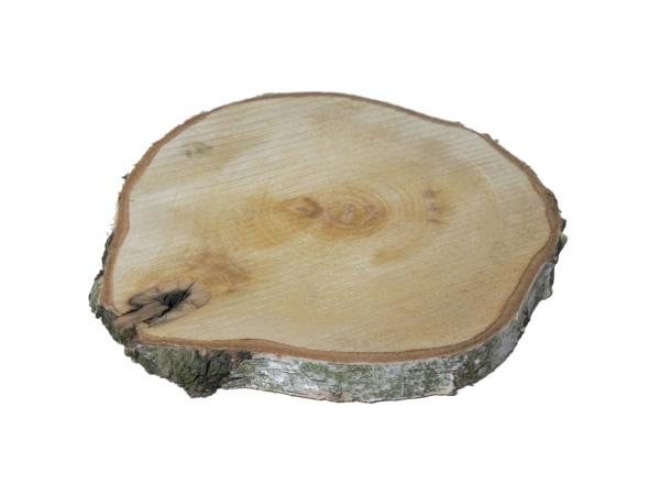 Baumscheibe Birke mit Rinde natur D25-30cm   D25-30cm