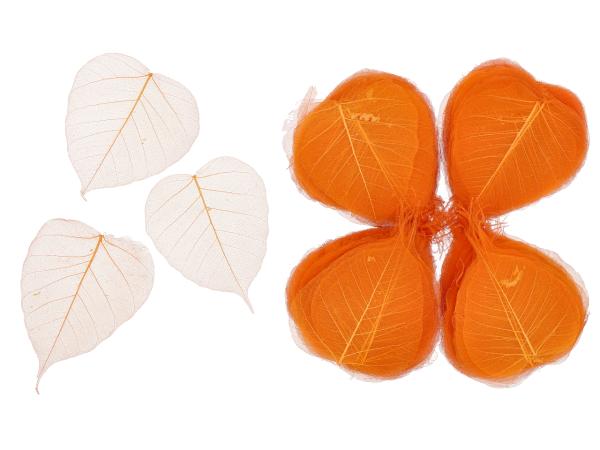 Skelettblätter 200St/Bx orange   B8 H10cm
