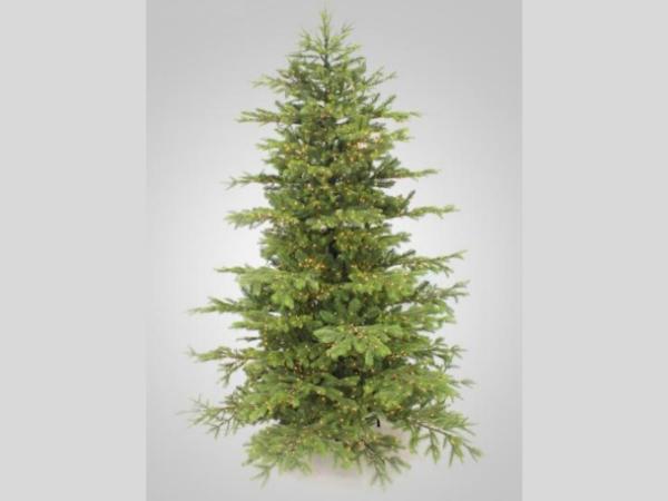 Tannenbaum Imperial m Beleuchtung 3900LEDs  H240cm