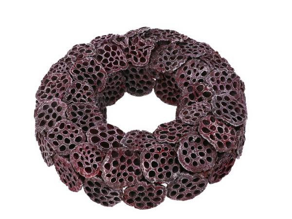 Kranz Lotoskolben rot washed
!! Aktionsartikel- Kein Umtausch / Rückgabe möglich !! D40cm