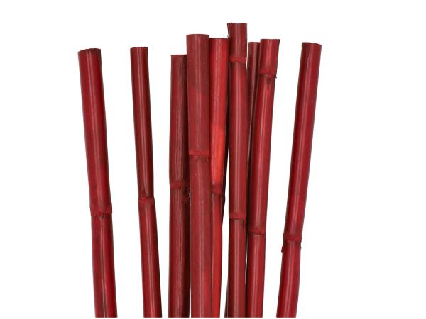 Canna Stiele 1mtr 10St/Bd rot L100cm