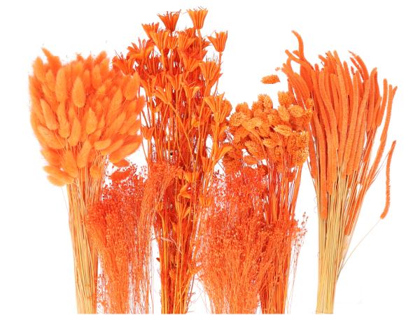 Gräsersortiment ca. 350gr orange L30-70cm