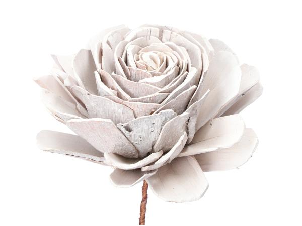 Rose Solablüte D10cm a Draht white washed D10 Draht 20cm