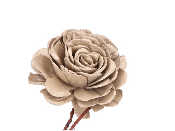 Rose Solablüte D10cm a Draht bisquit-gold metallic D10 Draht 20cm