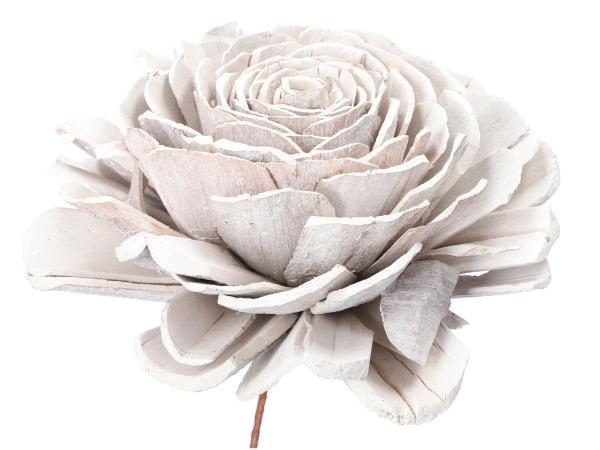 Rose Solablüte D15cm a Draht white washed D15 Draht 20cm