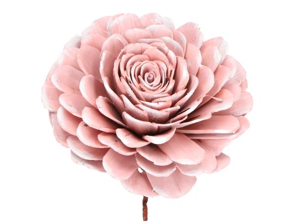 Rose Solablüte D15cm a Draht rosa washed D15 Draht 20cm