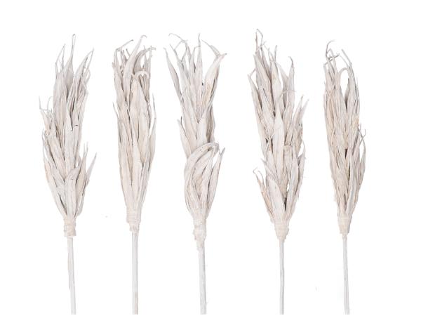 Lady Finger Possy a Stick white washed L12 Stick 20cm