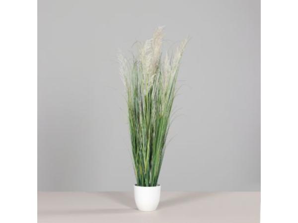 Gras mit Fruchtstamm i. weißem Kst-Topf H115cm  