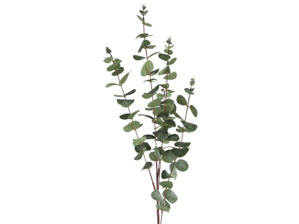 Zweig Eucalyptus L100cm grün L100cm