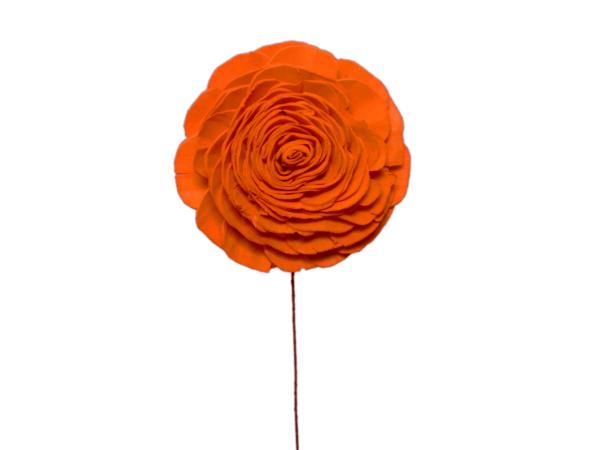 Rose Solablüte beauty 6cm orange 