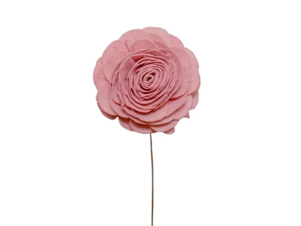 Rose Solablüte beauty 6cm rosa 