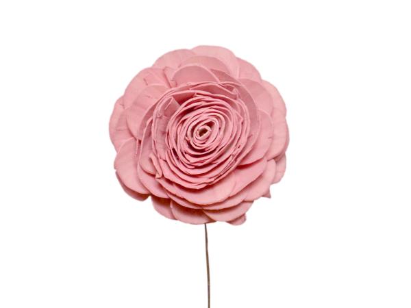 Rose Solablüte beauty 9cm rosa D9cm
