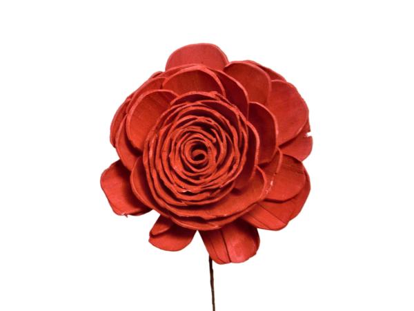 Rose Solablüte beauty 9cm rot D9cm