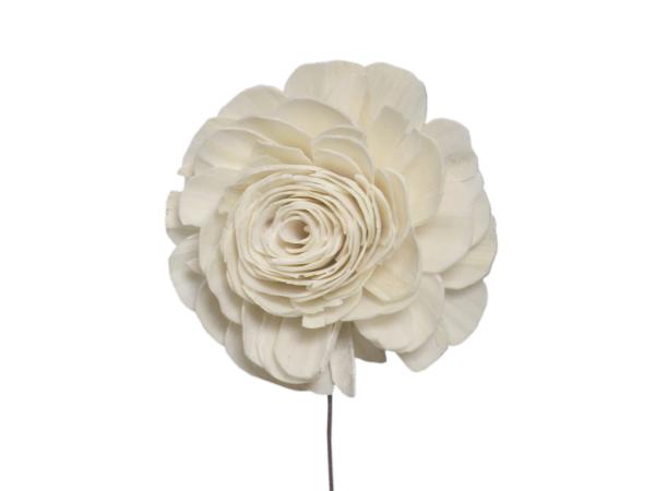 Rose Solablüte beauty 9cm natur D9cm