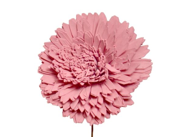 Chrysantheme Solablüte 12cm rosa 12cm