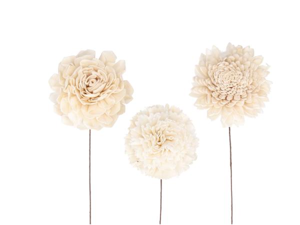 Blütensortiment Sola 3Mod (Dahlie, Nelke, Chrysantheme) natur D9cm