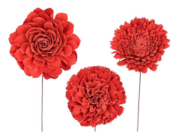 Blütensortiment Sola 3Mod (Dahlie, Nelke, Chrysantheme) rot D12cm