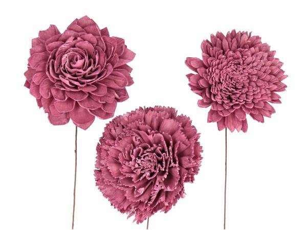 Blütensortiment Sola 3Mod (Dahlie, Nelke, Chrysantheme) brombeer D12cm
