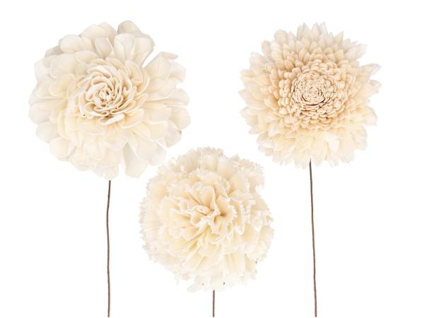 Blütensortiment Sola 3Mod (Dahlie, Nelke, Chrysantheme) natur D12cm