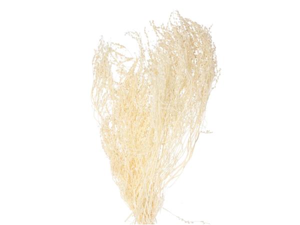 Lepidium Attraxa 100gr weiss 100gr