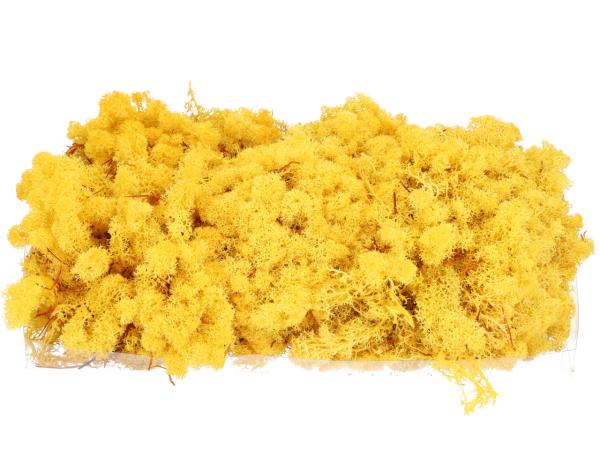 Islandmoos präp. 500gr gelb
 500gr