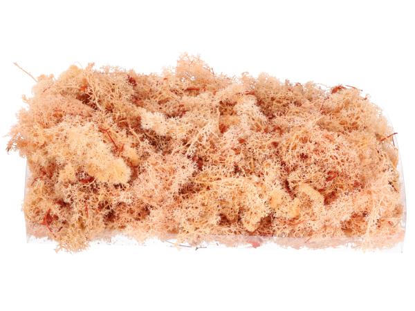 Islandmoos präp. 500gr koralle 500gr