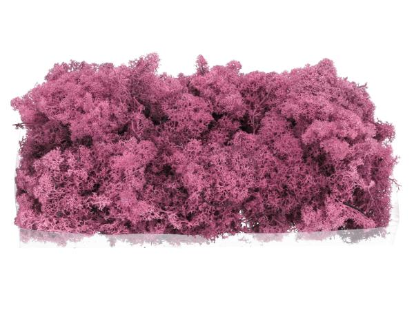 Islandmoos präp. 500gr mauve 500gr