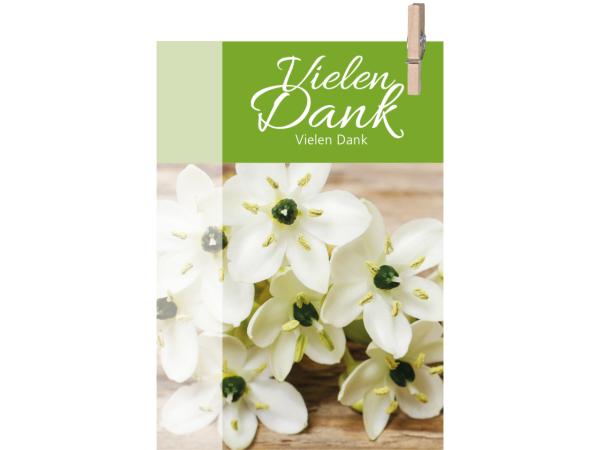 Klammerkarte Mini "VIELEN DANK" daily B52 H74mm