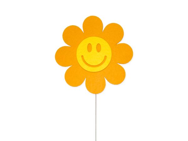 Stecker Smiley outdoor 6 St/Pack D13,5 Draht 40cm