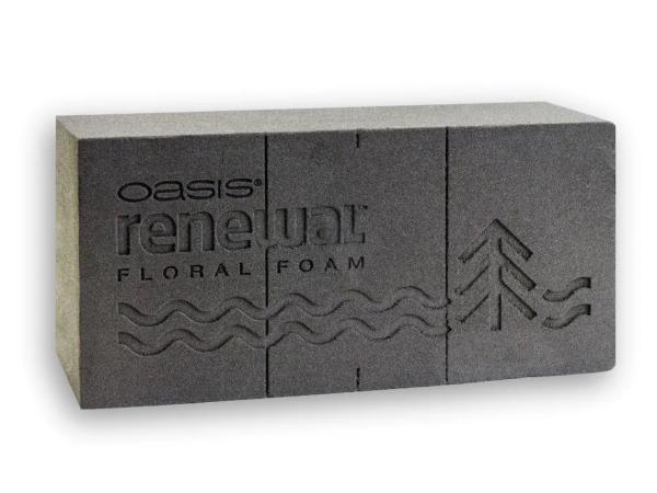 OASIS® Renewal Steckziegel 12 St. umweltfreundlicher Blumensteckschaum L23 B11 H8cm