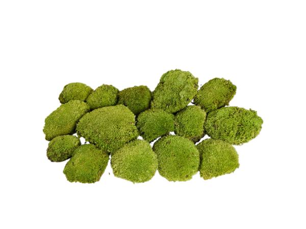 Kugelmoos 250gr stabilisiert moosgrün L80 B40 H20cm
