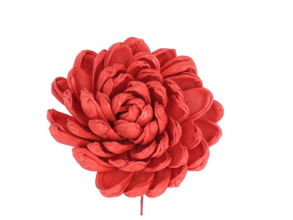 Paeonie Solablüte 9cm a Draht rot D9cm 