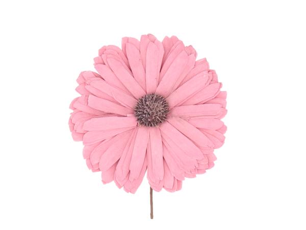 Gerbera Solablüte D12cm a Draht rosa D12cm